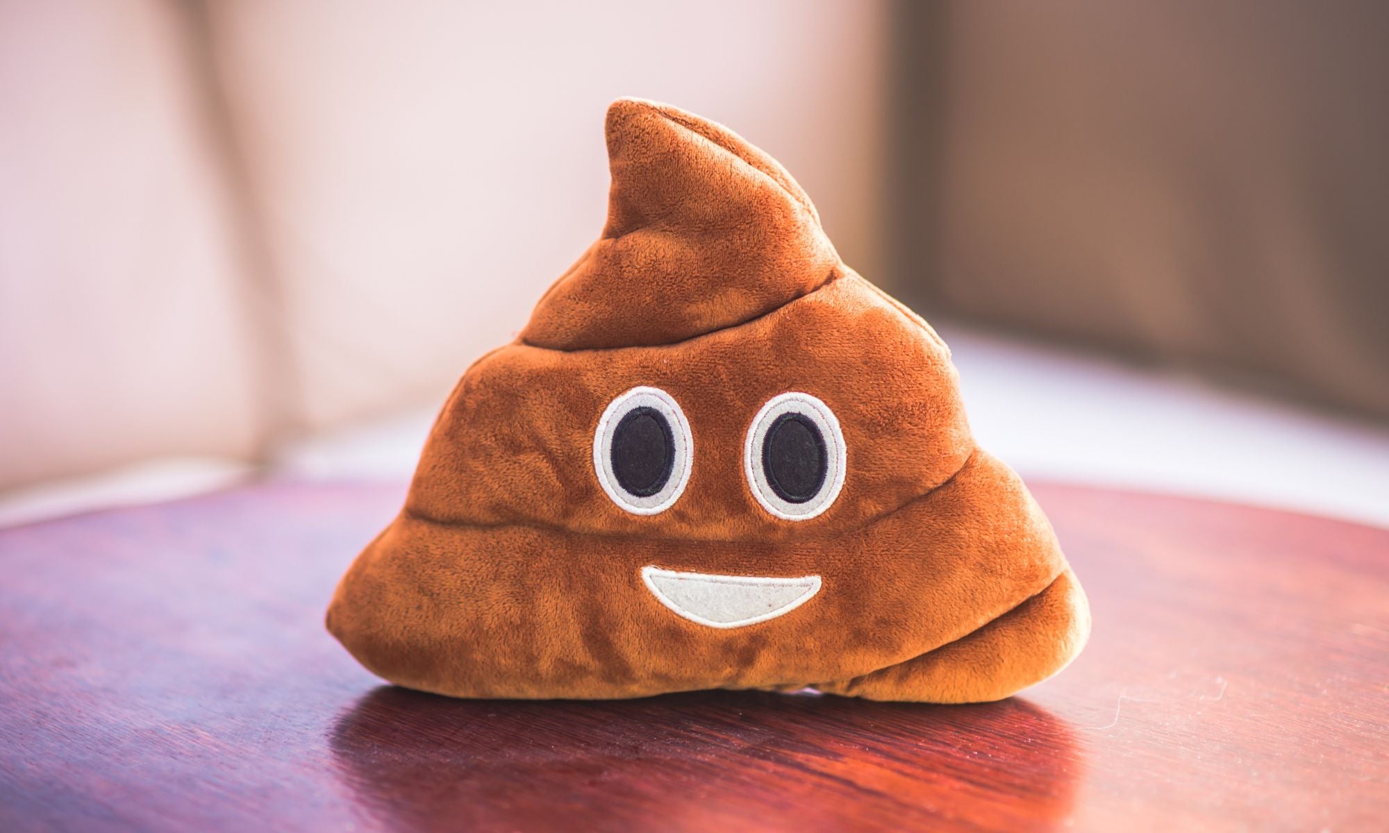 Poop Talk: What It Says About Your Health